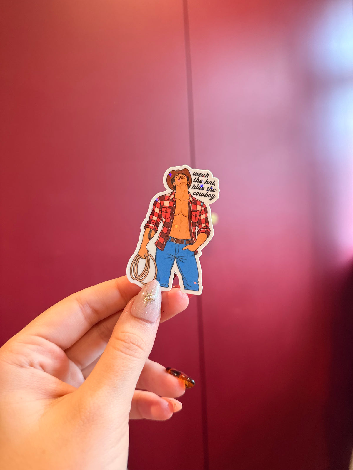 Sexy cowboy book boyfriend