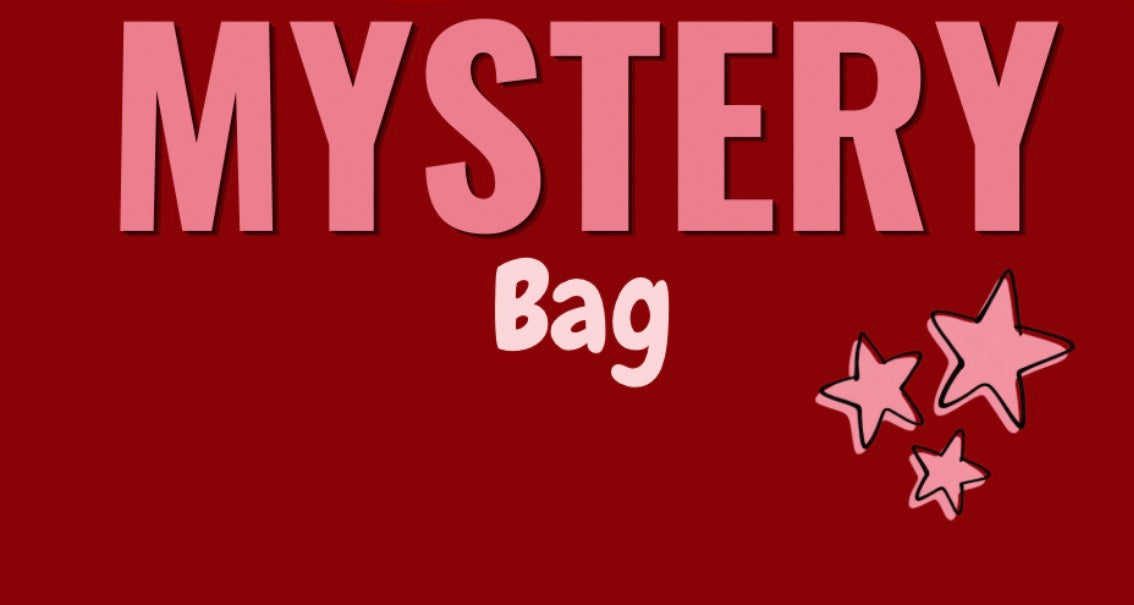 Bookish kindle mystery bag